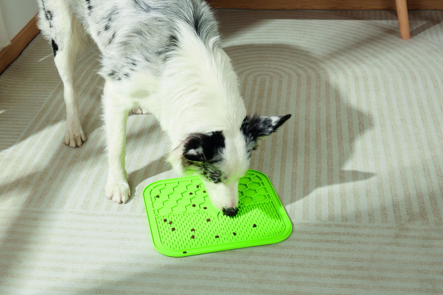 M-PETS Lecca Mat Green Large