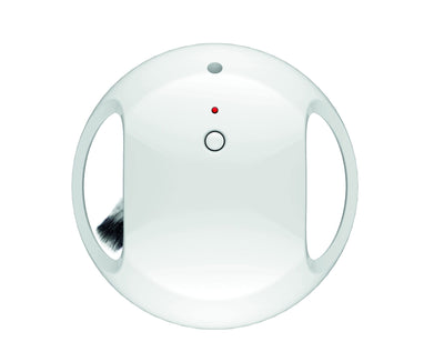 Gamma Interactive Cat Toy