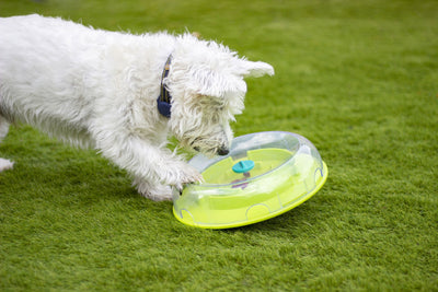 Nina Ottosson Wobble Bowl