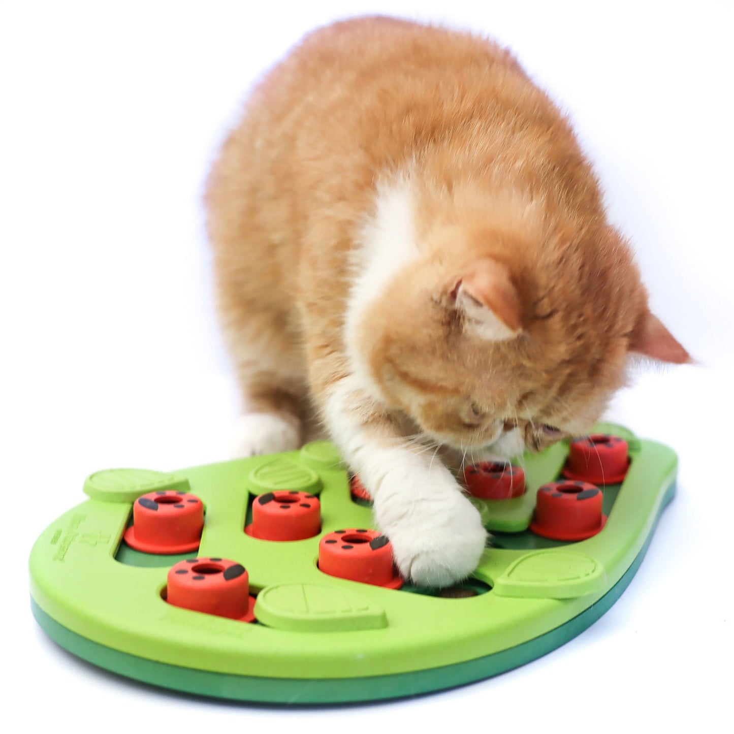 Nina Ottosson Puzzle & Play Buggin Out Green