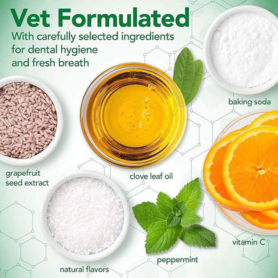 Vet's Best Dental Care Kit For Dogs Brush + Gel