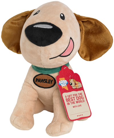 Good Boy Gift Pawsely