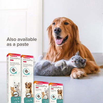 Beaphar IntestoPro Prebiotic Stool Firming Tablets for Cats & Small Dogs (1-20kg)