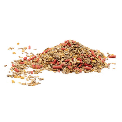 RSPB No Grow Ground Mix - 900g