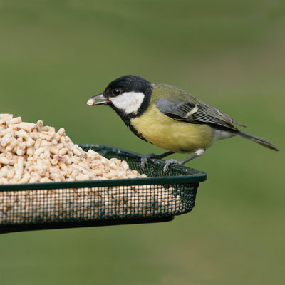 RSPB High Energy Suet Sprinkles - 550g