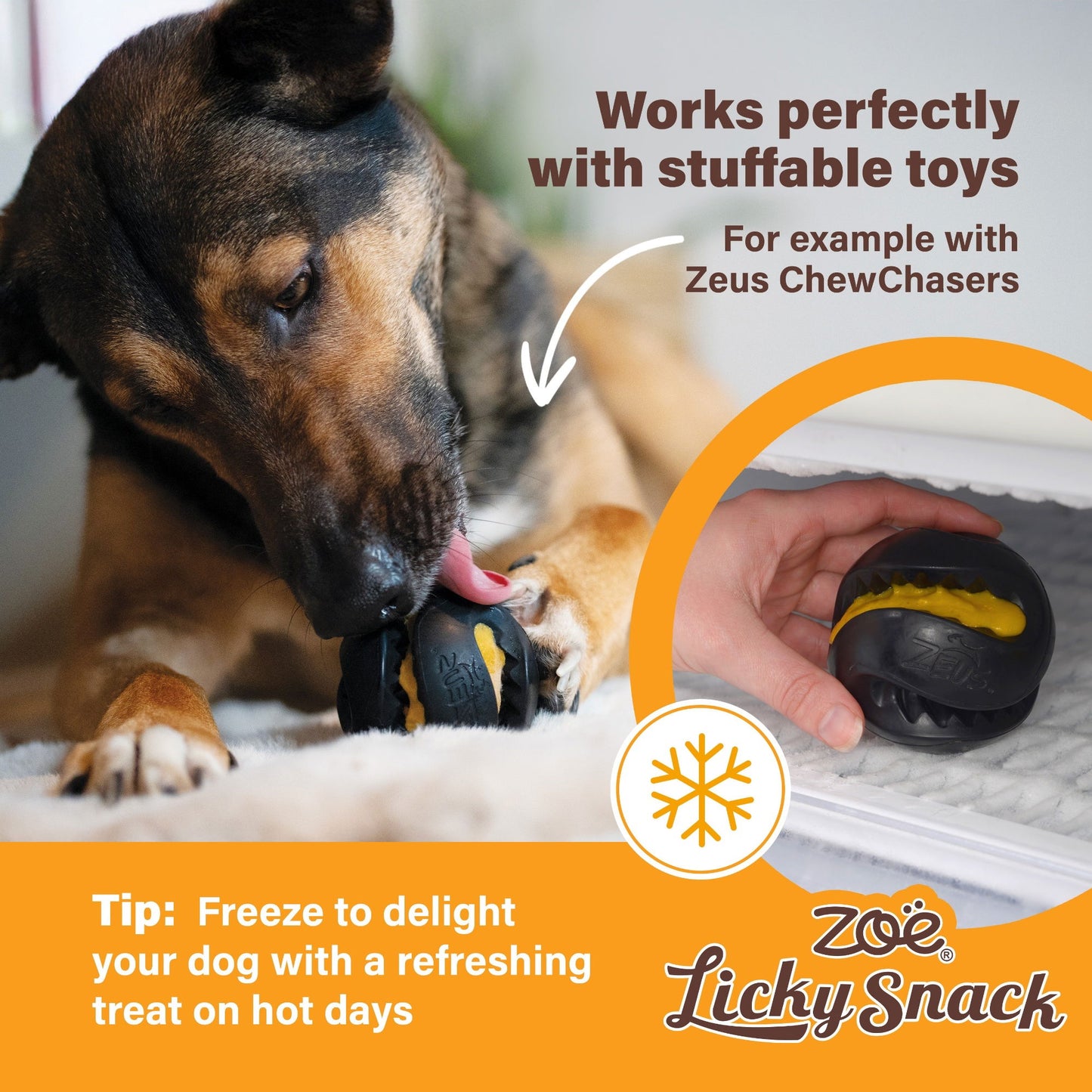 Zoë Licky Snack Pumpkin & Salmon Recipe 85g