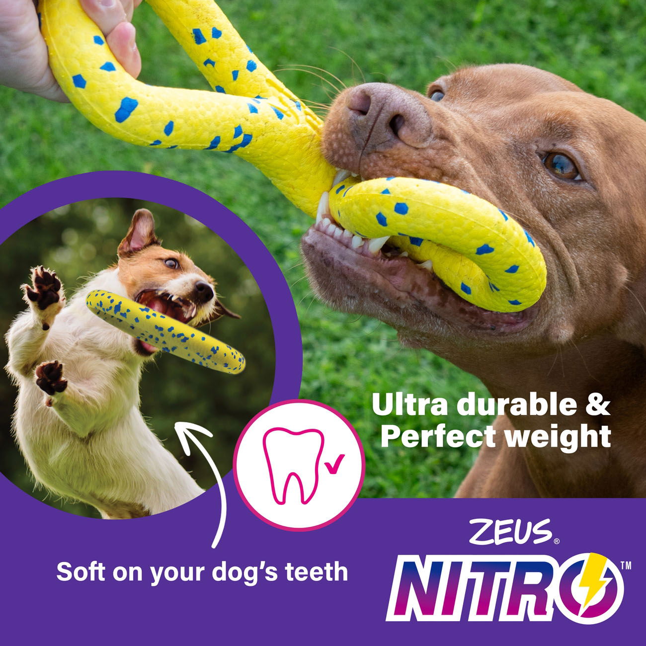 Zeus Nitro Weighted Ring 16cm dia