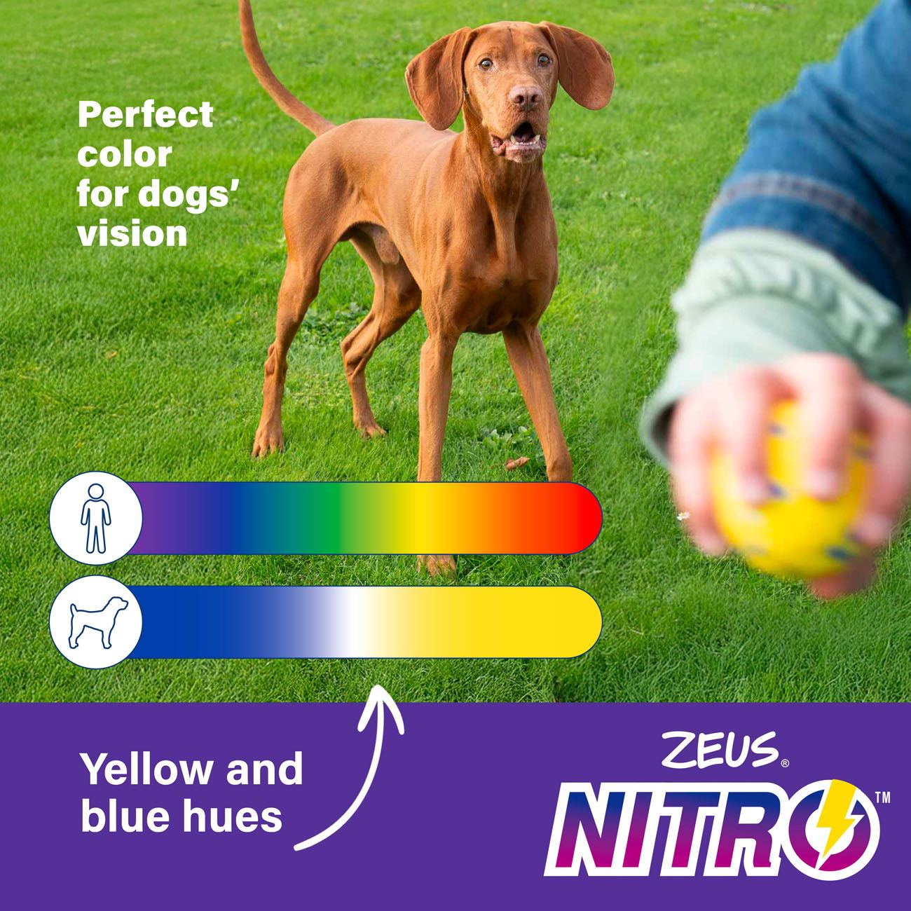 Zeus Nitro Weighted Grip Ball 12.4cm