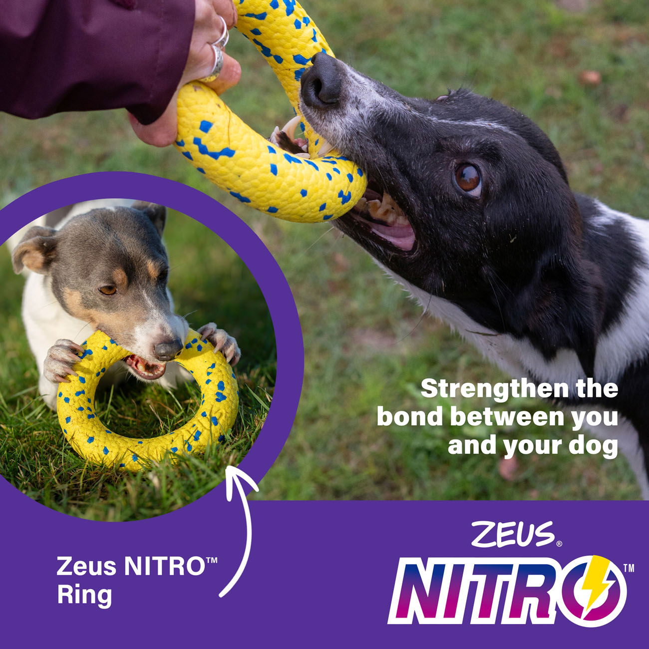 Zeus Nitro Ring 16cm dia