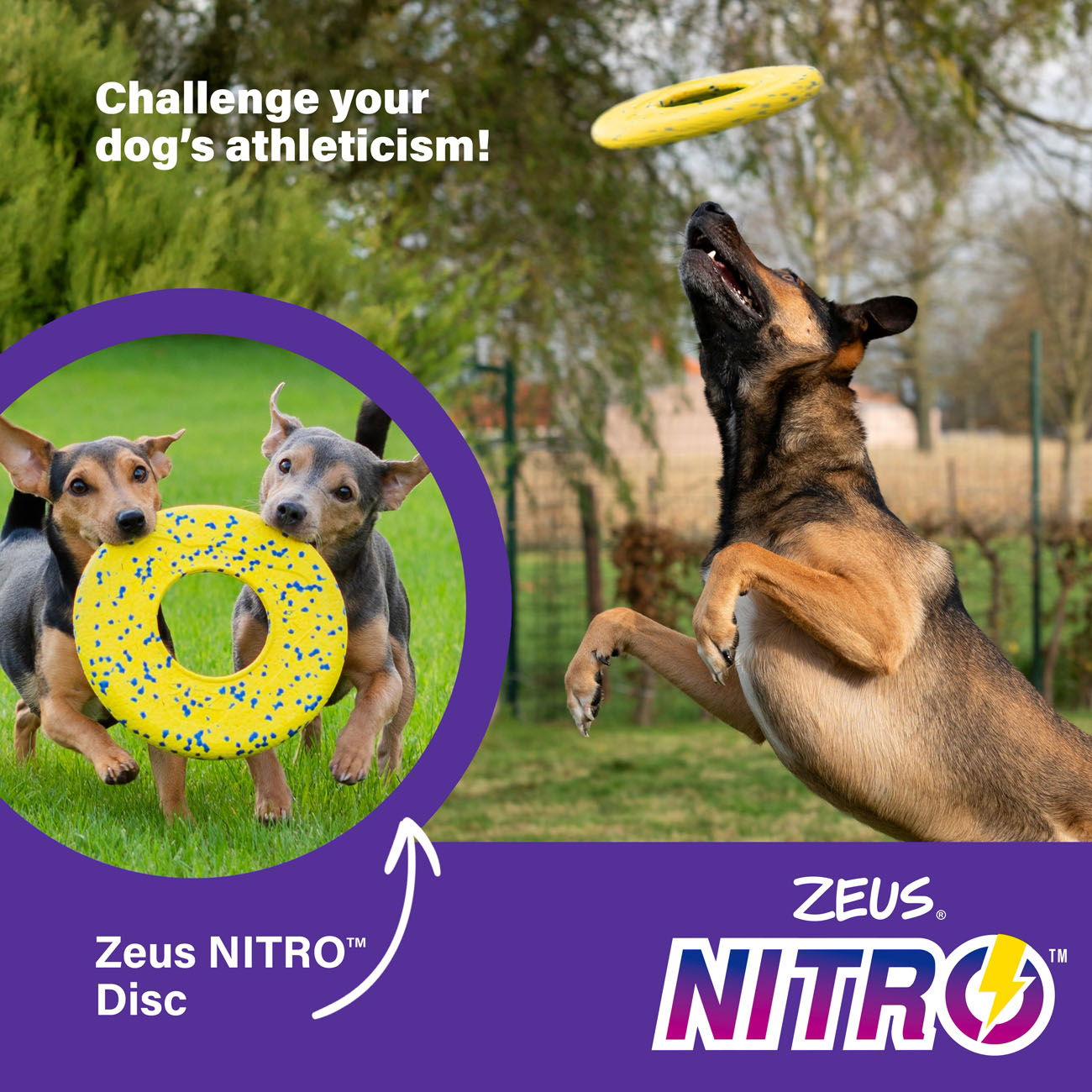 Zeus Nitro Flying Disc 24cm dia
