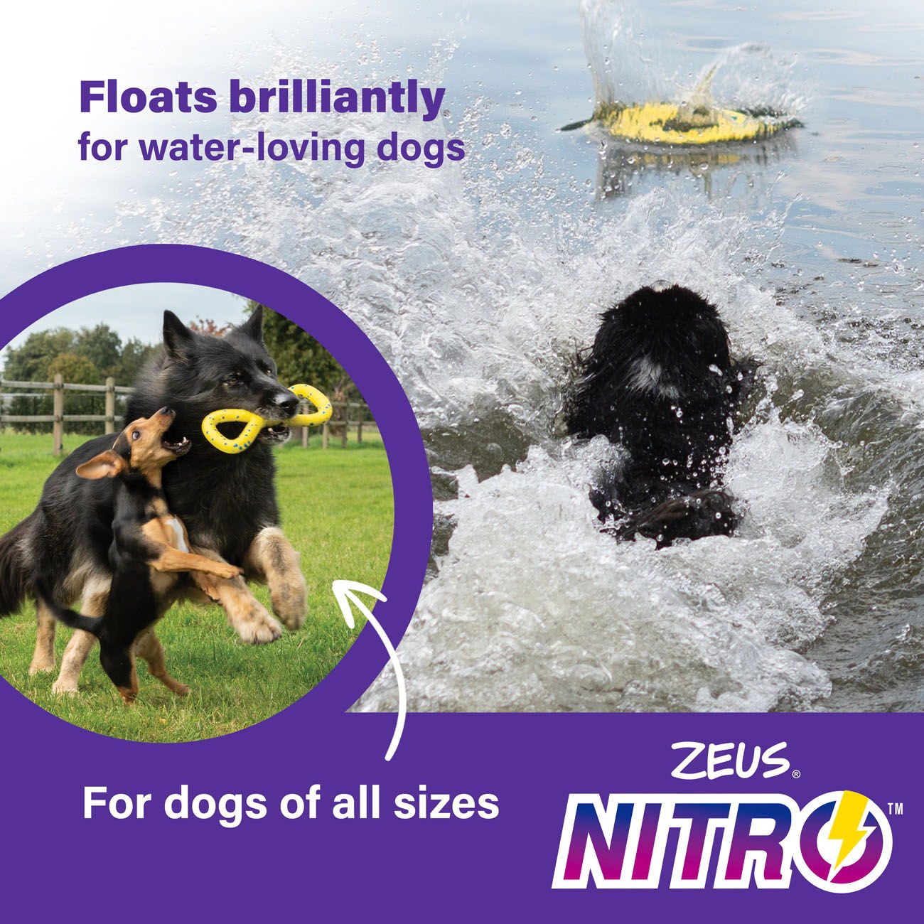 Zeus Nitro Flying Disc 24cm dia