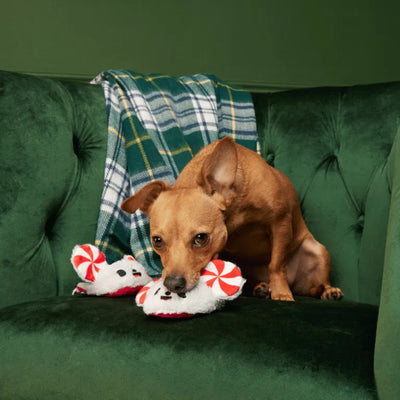 BARK Xmas Peppermice Slippies