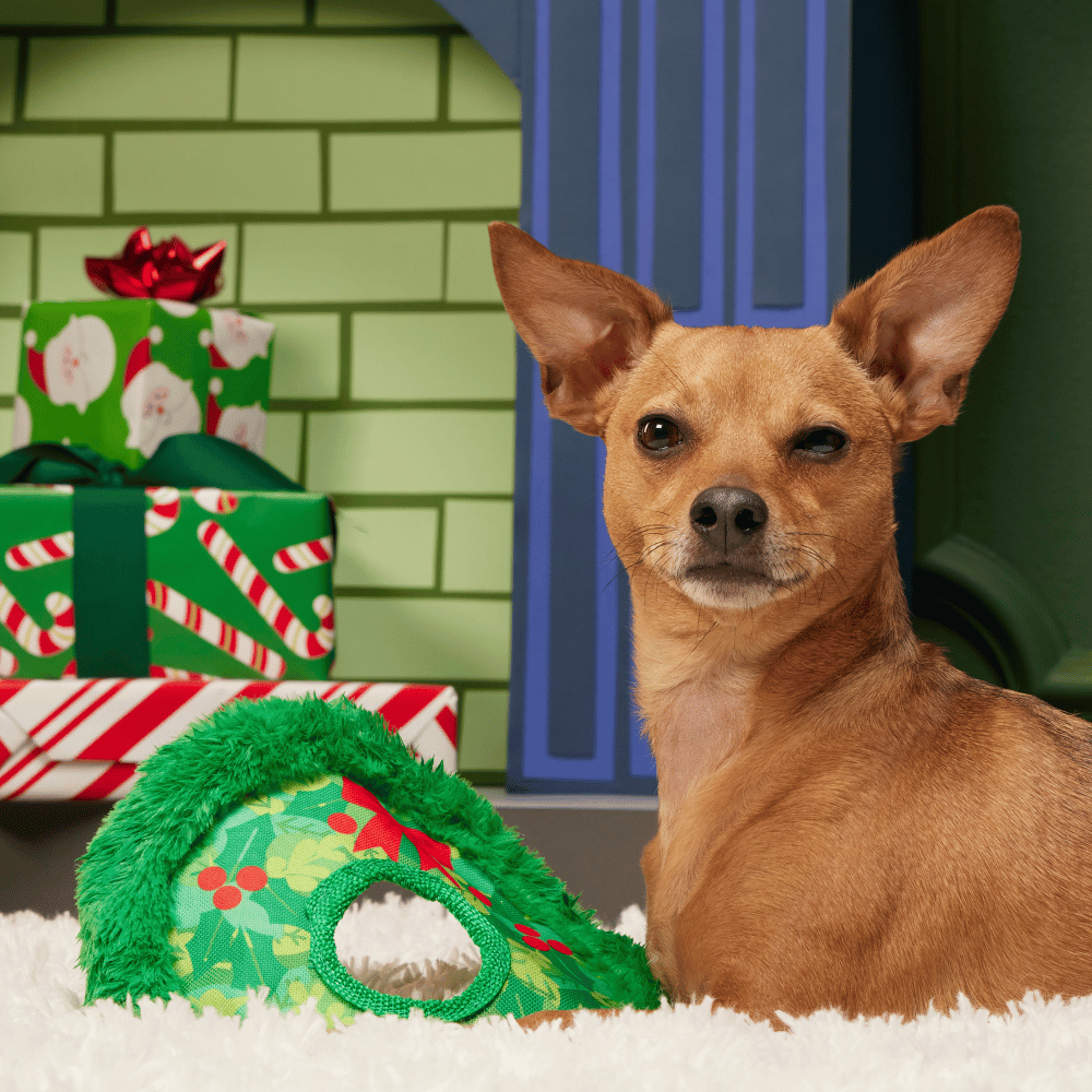 BARK Xmas Wreath Toss
