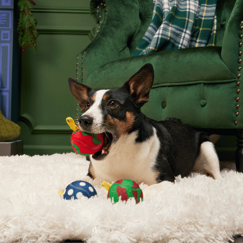 BARK Xmas Bauble Balls