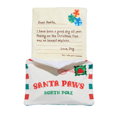 BARK Xmas Letter To Santa Paws