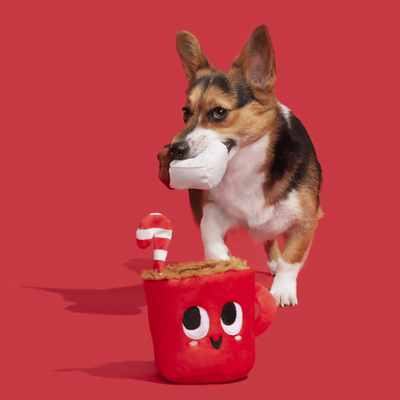 BARK Xmas Marshal & Coco