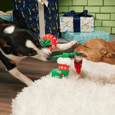 BARK Xmas Stocking Tuggers