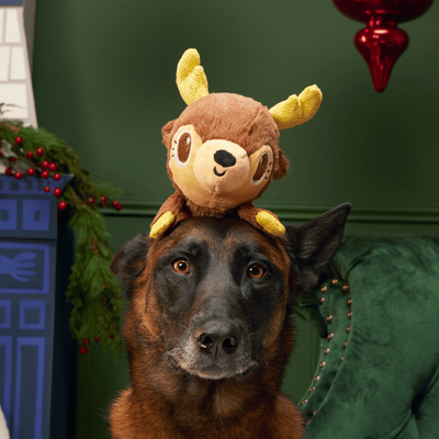 BARK Xmas Splootolph