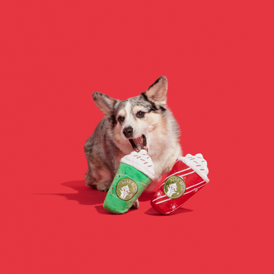 BARK Xmas Fa-la-la-la Lattes