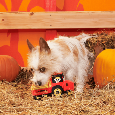 BARK Halloween Oldest McDonald