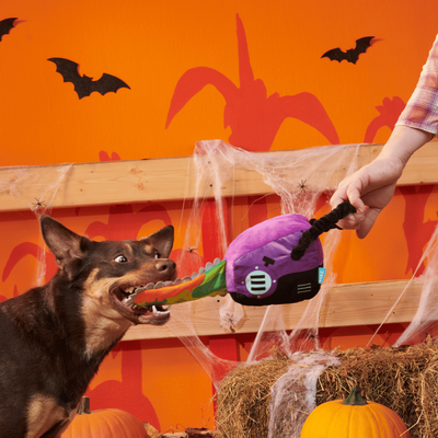 BARK Halloween Texas Chainspaw