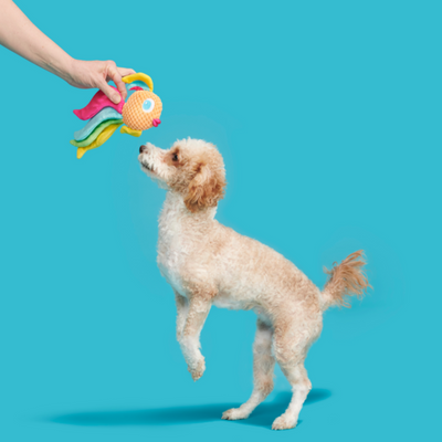 Bark Ahi Tina Dog Toy