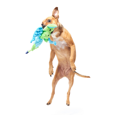 Bark Humbert The Dragon Dog Toy