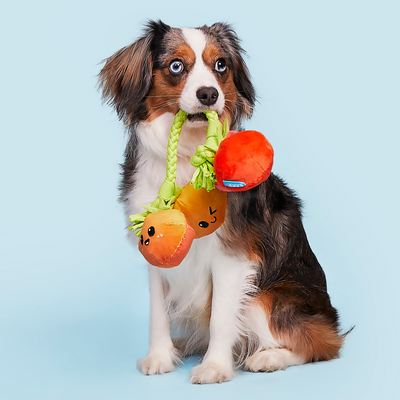 Bark Hairloom Tomatoes Dog Toy