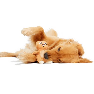 Bark Pearl Squirrel Dog Toy