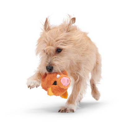Bark Beau The Boar Dog Toy