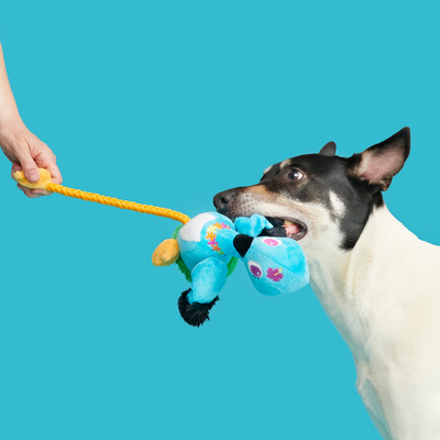 Bark Ani The Nene Goose Dog Toy