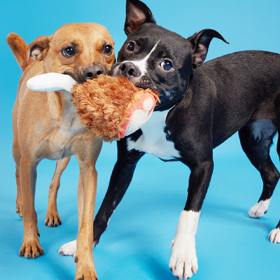 Bark Tavern Turkey Leg Dog Toy