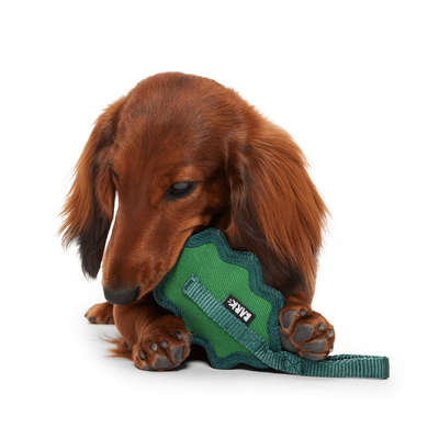 Bark A Green Chew Leaf Dog Toy