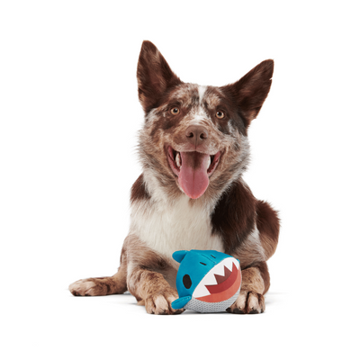 Bark Great White Dwight Dog Toy