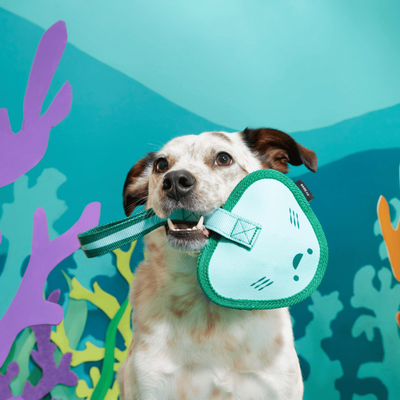 Bark Flingray Dog Toy