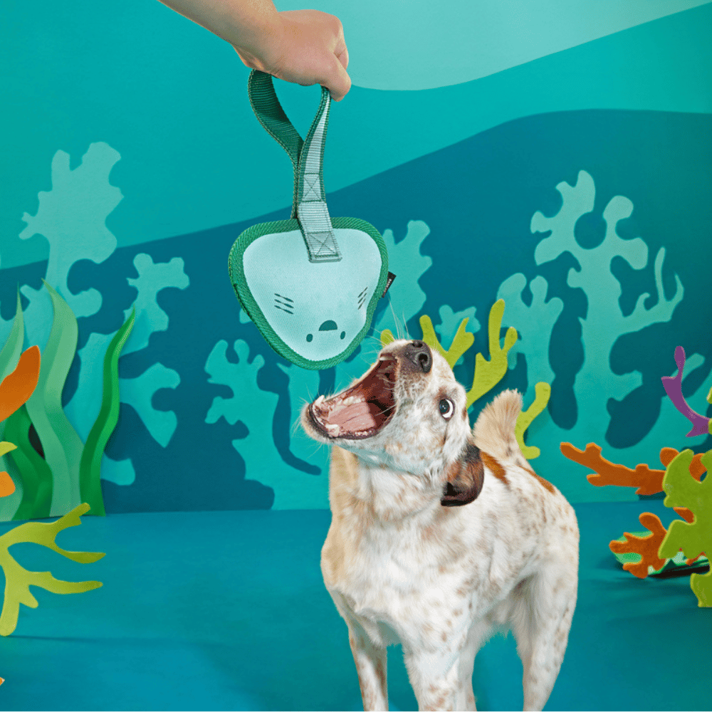 Bark Flingray Dog Toy