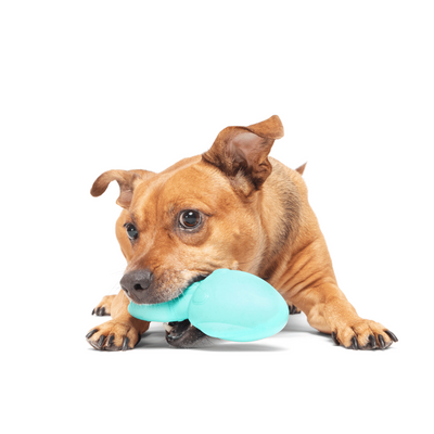 Bark Whiz Squid Dog Toy