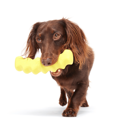 Bark Crinkle Fry Dog Toy