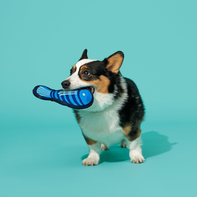 Bark Blue Rad Herring Dog Toy