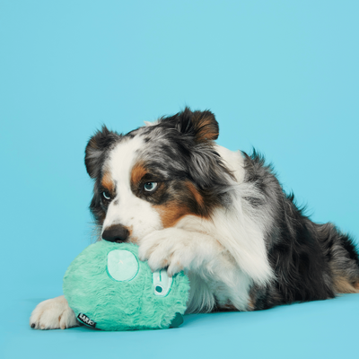 Bark Aurora Beast Dog Toy