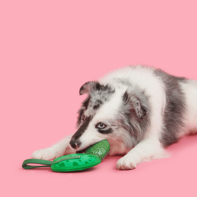 Bark Leaf Thrower Dog Toy