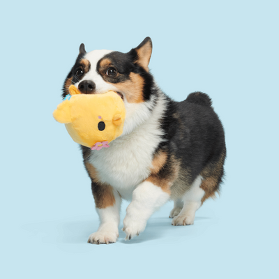 Bark Lil’ Hennifer Dog Toy