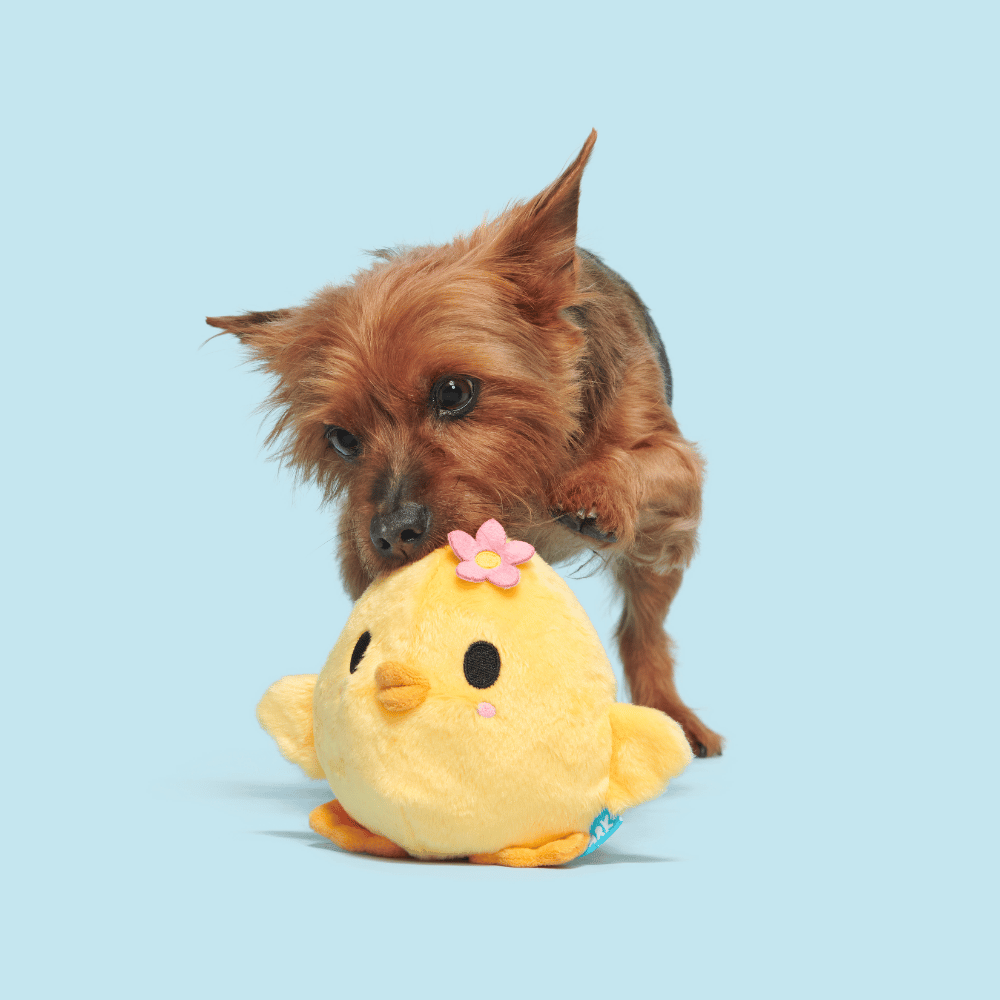 Bark Lil’ Hennifer Dog Toy