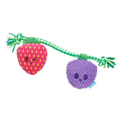 Bark Best Berry Friends Dog Toy