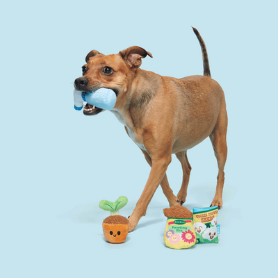 Bark Greenhouse Gang Dog Toy