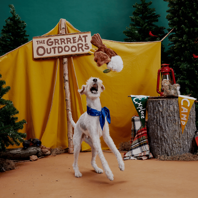 Bark Majestic Marty Dog Toy