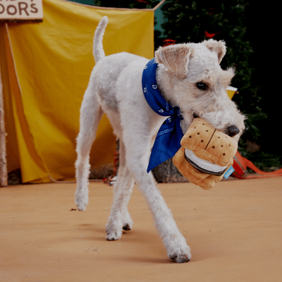 Bark More S'Mores Dog Toy