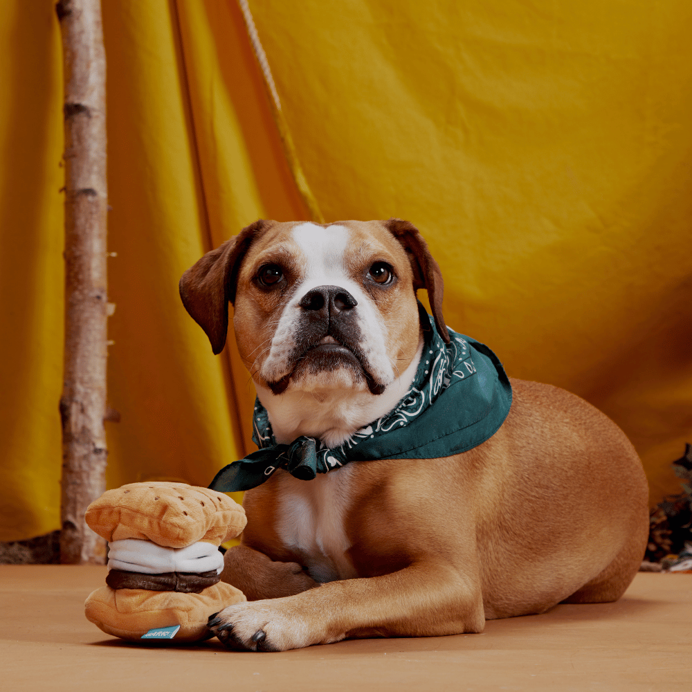 Bark More S'Mores Dog Toy