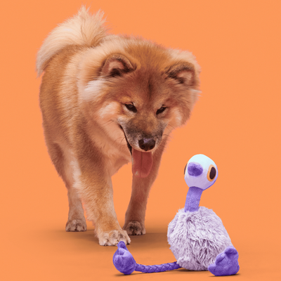 Bark Adelaide Emu Dog Toy