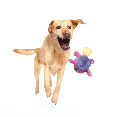 Bark Pippi Platypus Dog Toy